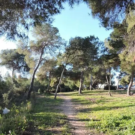 Casa Robles, Casa Independiente Con Piscina Partida de La Cañada